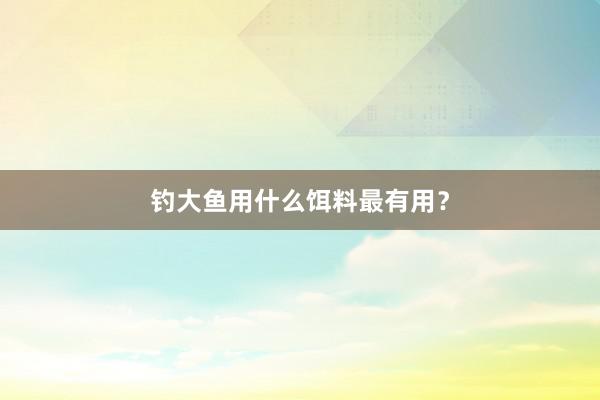 钓大鱼用什么饵料最有用？