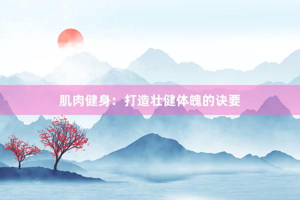 肌肉健身：打造壮健体魄的诀要